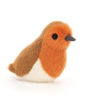 Birdling Robin