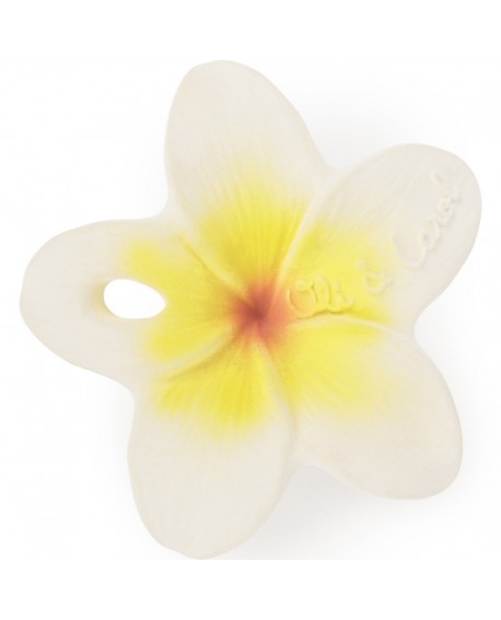 Chewy Hawaii la fleur.