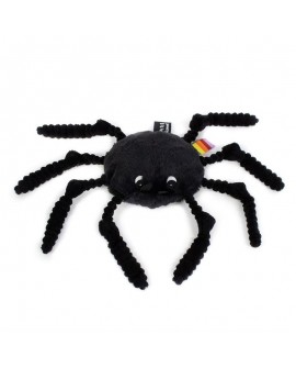 araignée noire