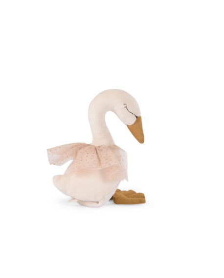 Cygne musical La petite école de danse