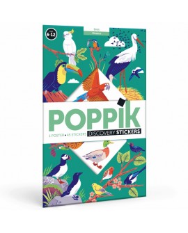 Sticker discovery birds  - POPPIK