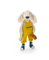 Grand chien Pilou d'activités Puce & Pilou