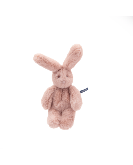 Petit lapin rose Arthur et Louison