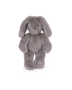 Lapin gris Arthur et Louison