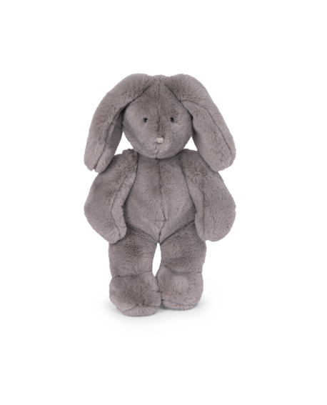 Lapin gris Arthur et Louison