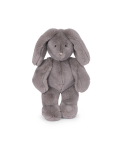 Lapin gris Arthur et Louison