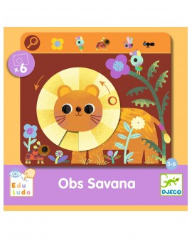 Obs Savana