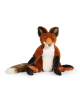 Renard Tout autour du monde