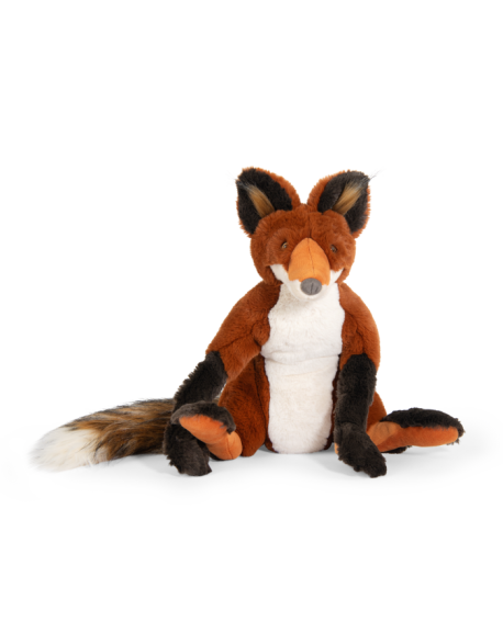 Renard Tout autour du monde