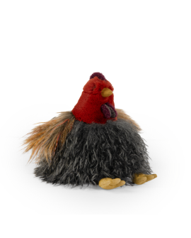 Poule Tout autour du monde