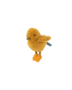 Poussin Tout autour du monde