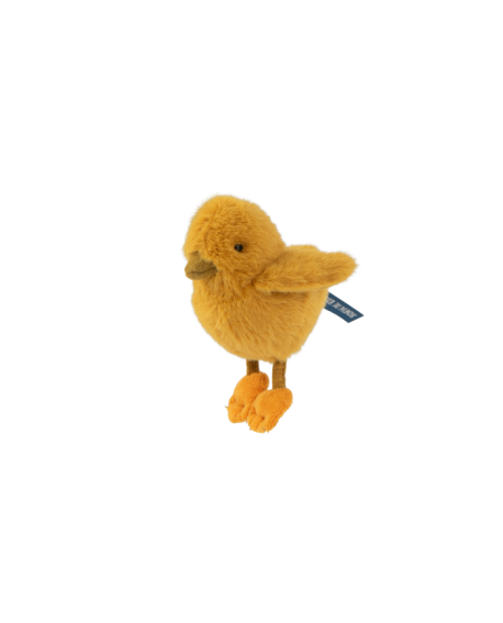 Poussin Tout autour du monde