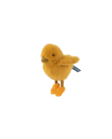 Poussin Tout autour du monde