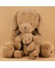Sowen le chien caramel salé 50cm