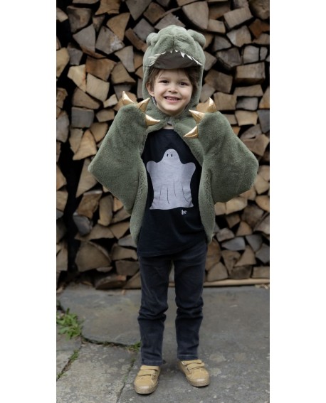 Toddler T-Rex Cuddle Cape, Green -2ans