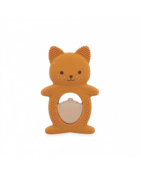 duo dentition refrigere écureuil