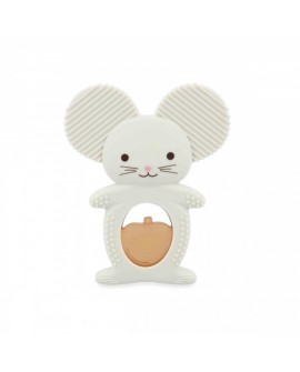 duo dentition refrigere souris