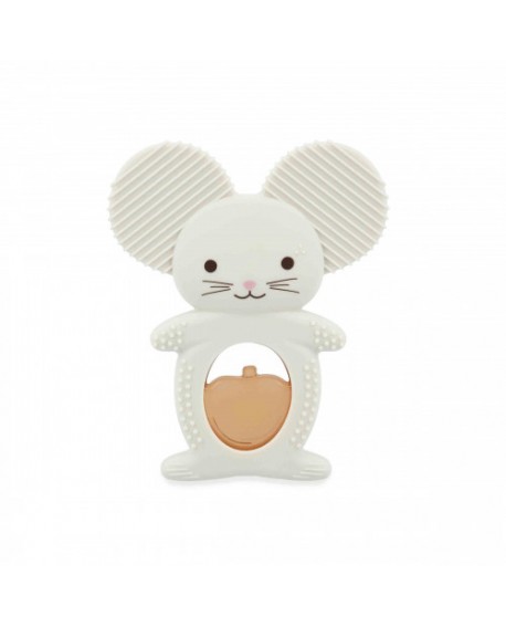 duo dentition refrigere souris