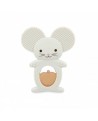 duo dentition refrigere souris
