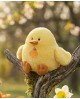 PIOU poussin