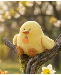 PIOU poussin