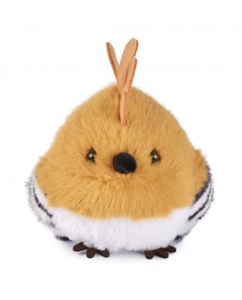 Cui cui paradis - kiwi