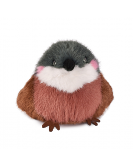 Cui cui paradis - moineau