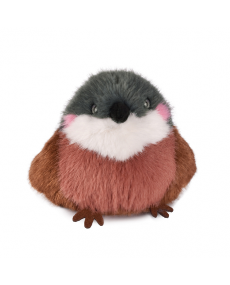 Cui cui paradis - moineau