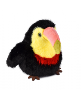Cui cui paradis - toucan