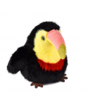 Cui cui paradis - toucan