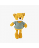 Renard Anatole La bande à Jojo